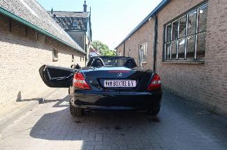 Mercedes SLK slk-klasse 200 K picture 9