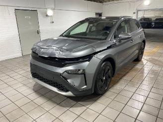 Skoda Elroq 50 Tour Studio KAM/NAVI picture 5