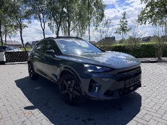 Cupra Formentor Formentor VZ 2.0 TSI 333pk 4Drive PANORAMA 360view Akrapovic VOL! picture 8