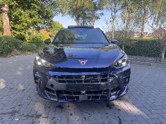 Cupra Terramar Cupra Terramar 2.0 TSI 4Drive VZ PANORAMA HUD Trekhaak Sennheiser Sound Standkachel  VOLL picture 11