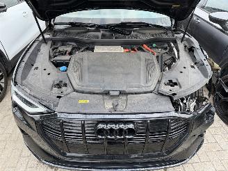 Audi E-tron E-tron 55 Quattro S-Line Virtual Mirrors Trekhaak Camera Leer  VOL picture 8