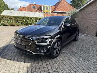 Mercedes EQA EQA 250+ AMG Camera Ambiance Leder VOL picture 25