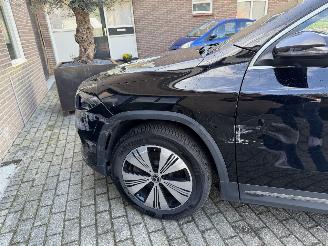 Mercedes EQA EQA 250+ AMG Camera Ambiance Leder VOL picture 20