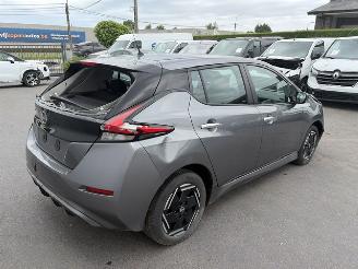 Unfallwagen Nissan Leaf  2023/12