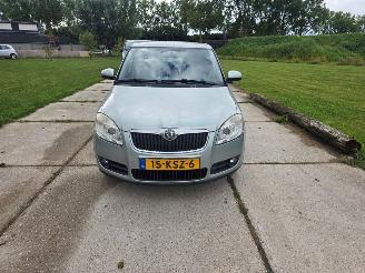  Skoda Fabia  2010/2