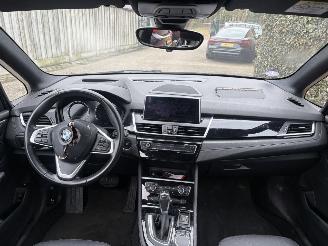 BMW 2-serie 225xe iPerformance High Executive AUTOMAAT 174PK LEER picture 9