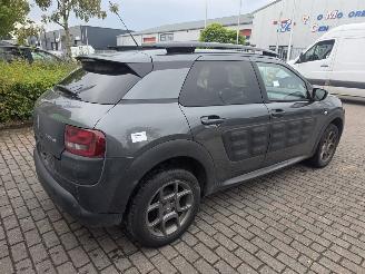 Citroën C4 cactus 1.2 PureTech 82 12V Hatchback 4Dr Benzine picture 11