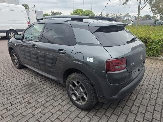 Citroën C4 cactus 1.2 PureTech 82 12V Hatchback 4Dr Benzine picture 6