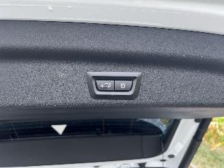 BMW X1 XDRIVE25E M-SPORT picture 24