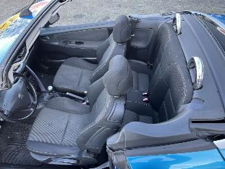 Peugeot 207 1.6 VTi Premiere picture 8