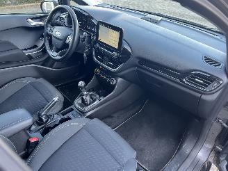 Ford Fiesta 1.0 Ecoboost Titanium picture 14