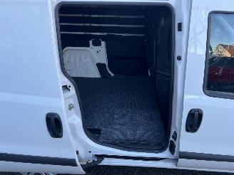 Fiat Doblo Cargo 1.3 MJ L1H1 Actual 2017 picture 19