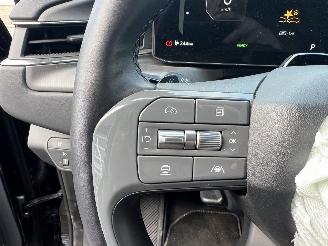 Kia EV9 Air 99.8 kWh picture 24