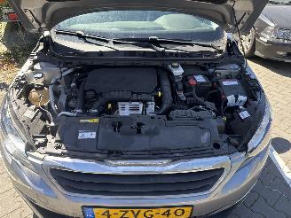 Peugeot 308 1.2 puretech style PANO picture 10