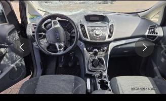 Ford Grand C-Max 1.0 titanium picture 11