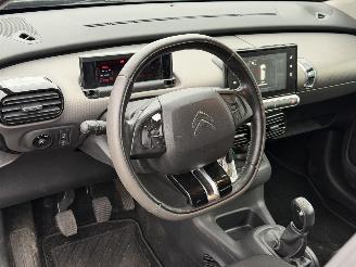Citroën C4 cactus 1.6 BlueHDi Business picture 7
