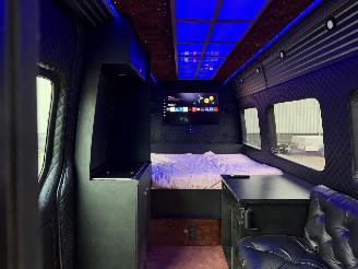 Schadeauto Mercedes Sprinter VIP CAMPER 906 KA 35 SPRINTER 313CDI 2010/2