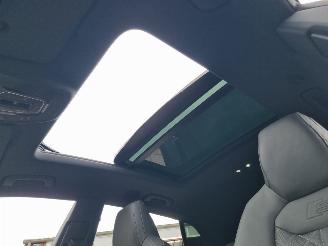 Audi Q8  picture 47