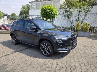 damaged passenger cars Skoda Karoq  2024/2
