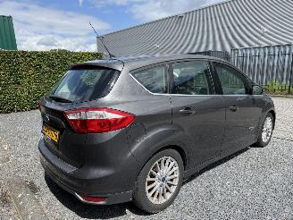 Ford C-Max 2.0 Plug In Hybride Pano Vol! picture 18