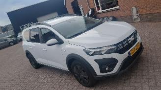 Avarii autoturisme Dacia Jogger 1.0 tce  110pk navi 7 zitter 2024/8
