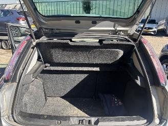 Fiat Punto 1.3d Multijet GEEN SCHADE picture 10