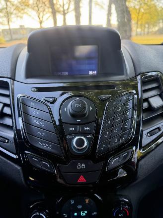 Ford Fiesta  picture 14