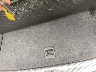 Audi SQ5 3.0 TSFI Quattro picture 35