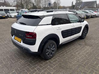 Citroën C4 cactus 1.6 HDI  Pano Business Plus picture 4