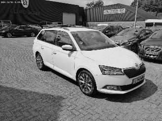 Unfallwagen Skoda Fabia 1.0 TSI BUS. EDITION 2021/6