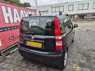 Fiat Panda 1.2 edizione cool picture 3