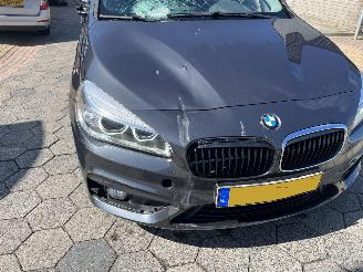 BMW 2-serie Active Tourer 216i Centennial Executive picture 8