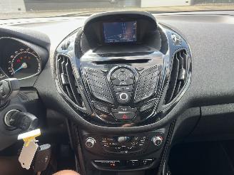 Ford B-Max 1.0 EcoBoost Titanium picture 19