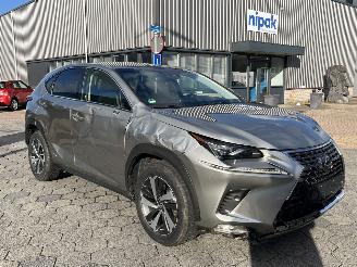 Lexus NX 300H AWD President Line picture 3