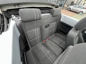 Volkswagen Beetle Cabriolet 1.6 Trendline picture 13