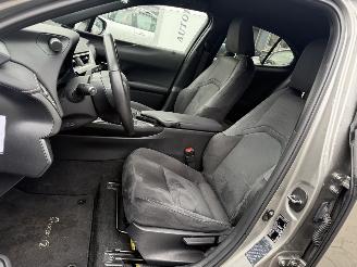 Lexus UX 250h Preference Line picture 11