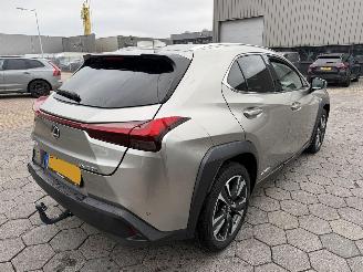 Lexus UX 250h Preference Line picture 5