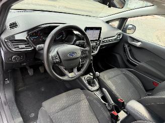 Ford Fiesta 1.0 EcoBoost Hybrid Titanium picture 17