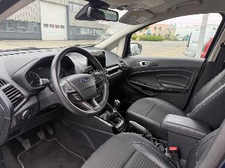 Ford EcoSport 1.0 EcoBoost Titanium picture 13