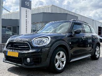 krockskadad bil auto Mini Countryman 1.5 AUTOM Cooper  Edition AUTOMAAT 2019/5