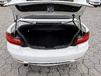BMW 2-serie Cabrio 218i picture 12