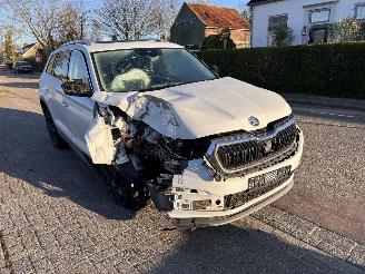 Avarii autoturisme Skoda Kodiaq 1.5 TSi Business Edition 7P 2022/4