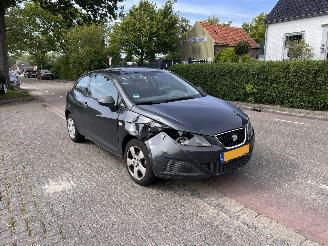 Schadeauto Seat Ibiza 1.2-12V 2010/5