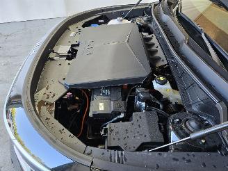 Kia e-Niro Lim. Ed. 64.8 kWh picture 13