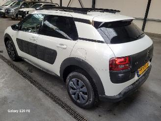 Citroën C4 cactus BLUE 1.6 HDi 73-KW Panoramadak picture 2