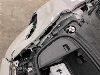 Porsche Taycan Panoramadak picture 19