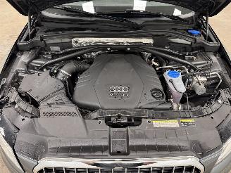 Audi Q5 3.0 TDI S-Tronic S-Line Quattro Navi Clima picture 16