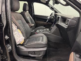 Volkswagen Amarok 3.0 V6 Autom DC 4WD PanAmericana Navi picture 10
