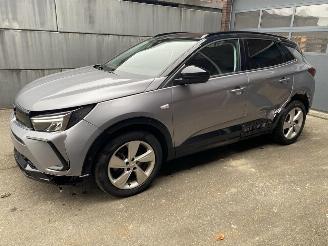 Unfallwagen Opel Grandland X 1.2 Turbo (96kW) GS Line 2023/6
