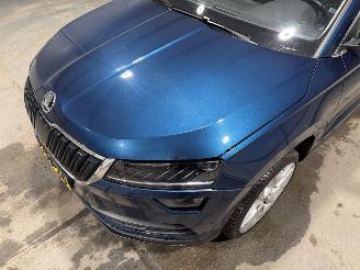 Skoda Karoq 1.5TSI 110kW Automaat ACT Business Edition picture 22